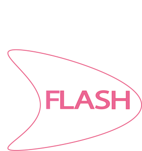 Conecte-se com a Flash Global e descubra como podemos impulsionar seu sucesso e contribuir para um futuro melhor.